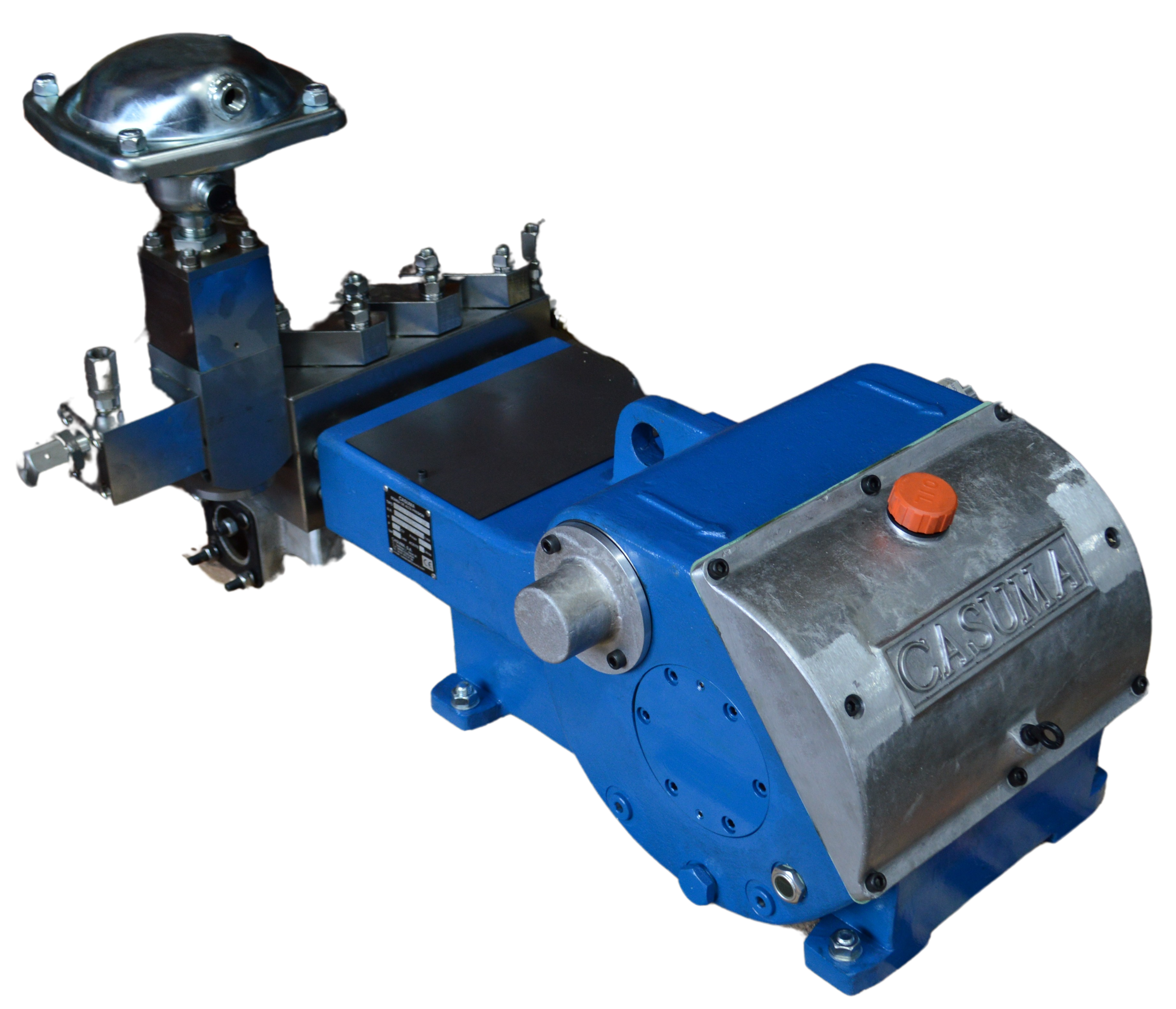 DSC_5280-removebg - copia